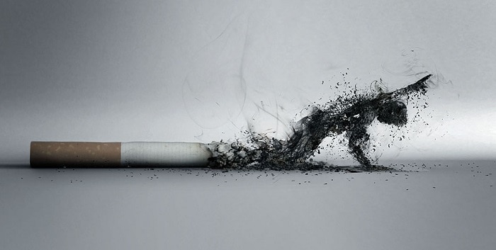 Should Smoking Be Banned essay