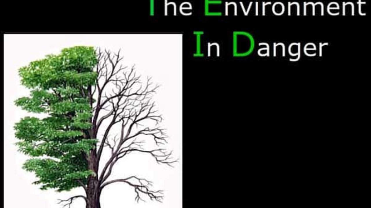 Environmental Problems And Solutions Essay Environment Is In Danger