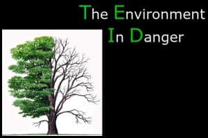 500 word essay save our environment short essay about environmental problems