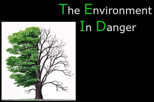 Environmental Problems And Solutions Essay Environment Is In Danger