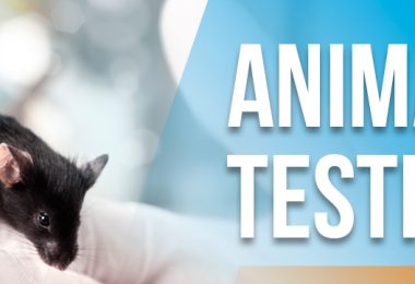 Animal testing essay