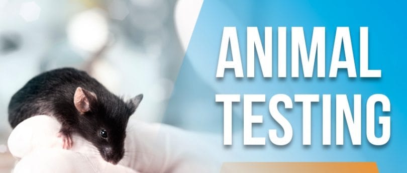 Animal testing essay argumentative essay sample pte academic exam
