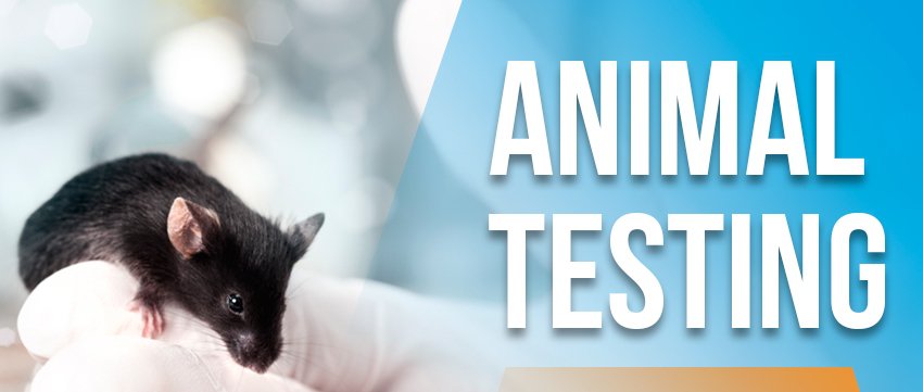 Animal experimentation essays